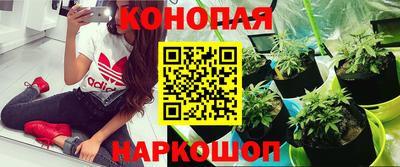mdma Пугачёв