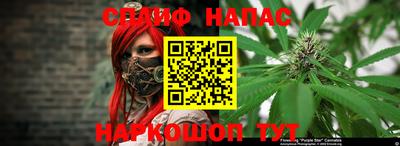 индика Пушкино