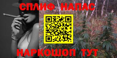 индика Пушкино