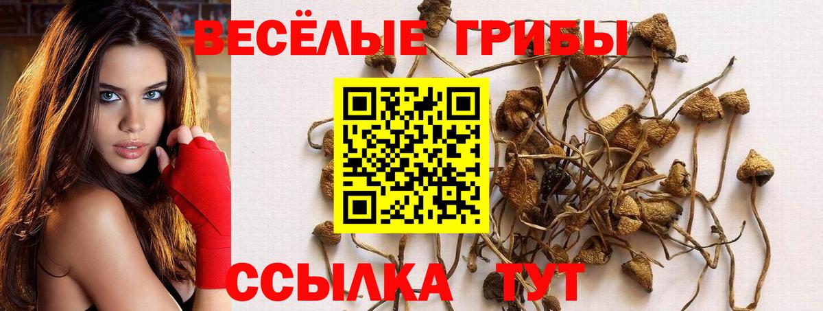 Ростов Великий  Псилоцибиновые грибы ЛСД  Вход с VPN 
