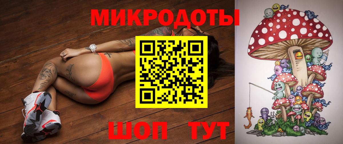 Галлюциногенные грибы Psilocybine cubensis Ростов Великий